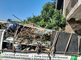 Best Office Cleanout  in Vevay, IN