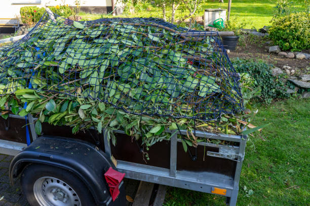 Best Carpet Removal and Disposal  in Vevay, IN